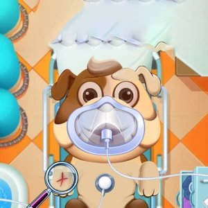 Animal Daycare - Play Free Best Care Online Game on JangoGames.com