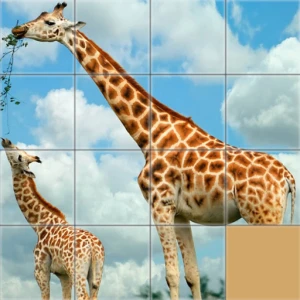 Animals Slide Puzzle - Play Free Best Puzzle Online Game on JangoGames.com