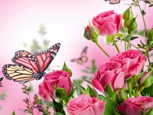 Butterflies Puzzle - Play Free Best Puzzle Online Game on JangoGames.com