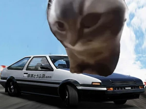Car Stunt Chipi Chipi Chapa Chapa Cat - Play Free Best Sports Online Game on JangoGames.com