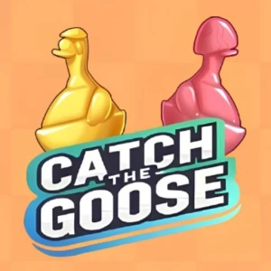 Catch The Goose - Play Free Best Match-3 Online Game on JangoGames.com