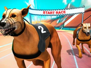Crazy Dog Racing Fever - Play Free Best Racing & Driving Online Game on JangoGames.com