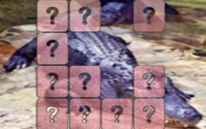 Crocodile Memory Match - Play Free Best puzzle Online Game on JangoGames.com