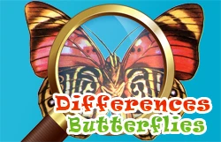 Differences Butterflies - Play Free Best Casual Online Game on JangoGames.com