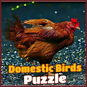 Domestic Birds Puzzle - Play Free Best Puzzle Online Game on JangoGames.com
