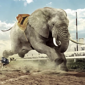 Elephants Puzzle - Play Free Best Puzzle Online Game on JangoGames.com