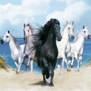 Horses Puzzle - Play Free Best Puzzle Online Game on JangoGames.com