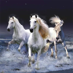 Horses Slide - Play Free Best Puzzle Online Game on JangoGames.com