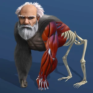 Idle Evolution From Cell to Human - Play Free Best Simulation Online Game on JangoGames.com