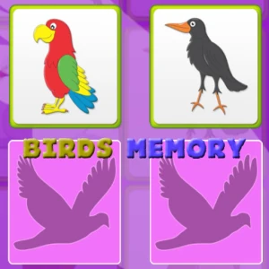 Kids Memory with Birds - Play Free Best Puzzle Online Game on JangoGames.com