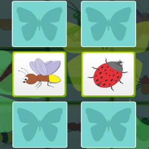 Kids Memory with Insects - Play Free Best Casual Online Game on JangoGames.com