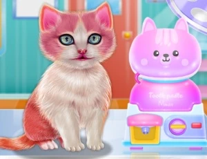 Kitty Dental Caring - Play Free Best Care Online Game on JangoGames.com