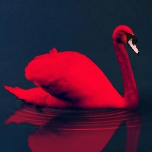 Love Birds Puzzle - Play Free Best Puzzle Online Game on JangoGames.com