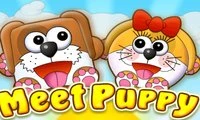Meet Puppy - Play Free Best Casual Online Game on JangoGames.com