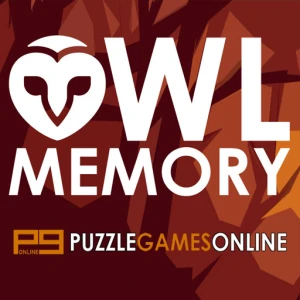 Owl Memory - Play Free Best Puzzle Online Game on JangoGames.com