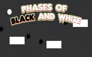 Phases of Black and White - Play Free Best casual Online Game on JangoGames.com