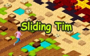 Sliding Tim - Way to home - Play Free Best arcade Online Game on JangoGames.com