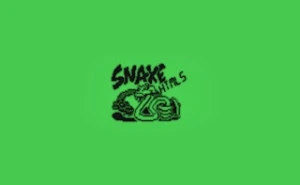 Snake 33 10 HTML5 - Play Free Best kids Online Game on JangoGames.com