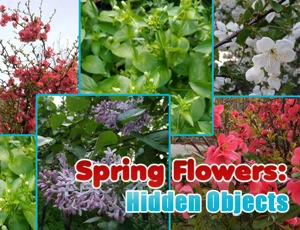 Spring Flowers: Hidden Objects - Play Free Best Casual Online Game on JangoGames.com