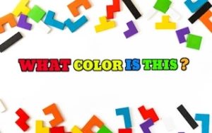 What Color Is This - Play Free Best coloring Online Game on JangoGames.com