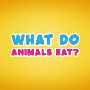 What do animals eat - Play Free Best Educational Online Game on JangoGames.com