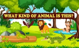 What Kind of Animal is This - Play Free Best kids Online Game on JangoGames.com