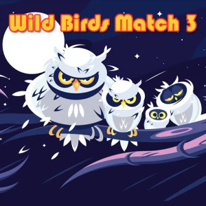 Wild Birds Match 3 - Play Free Best Match-3 Online Game on JangoGames.com