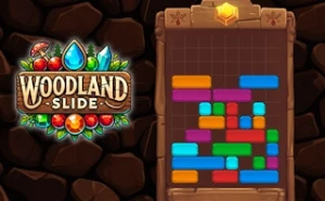 Woodland Slide - Play Free Best block Online Game on JangoGames.com