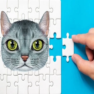 Abyssinian Puzzle Challenge - Play Free Best Puzzle Online Game on JangoGames.com