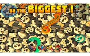 Angry Snake - Play Free Best snake Online Game on JangoGames.com
