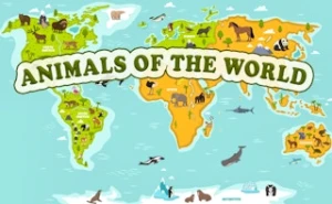 Animals of the World - Play Free Best kids Online Game on JangoGames.com