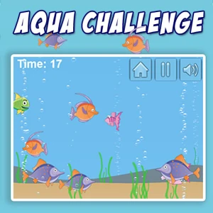 Aqua Challenge - Play Free Best Puzzle Online Game on JangoGames.com