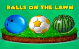 Balls on the Lawn - Play Free Best puzzle Online Game on JangoGames.com