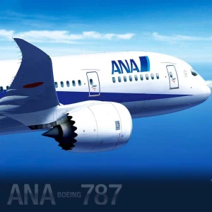 Boeing Dreamliner Puzzle - Play Free Best Puzzle Online Game on JangoGames.com