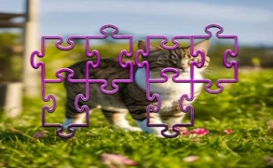 Cat Jigsaw Puzzle Frenzy - Play Free Best cats Online Game on JangoGames.com