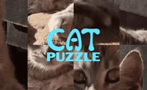 Cat Puzzle - Play Free Best animal Online Game on JangoGames.com