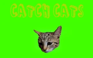 Catch Cats - Play Free Best action Online Game on JangoGames.com