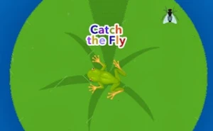 Catch the Fly - Play Free Best animal Online Game on JangoGames.com