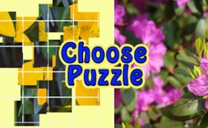 Choose Puzzle - Play Free Best kids Online Game on JangoGames.com