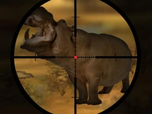 Classical Hippo Hunting - Play Free Best Shooter Online Game on JangoGames.com