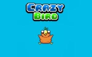 Crazy Bird - Play Free Best animal Online Game on JangoGames.com