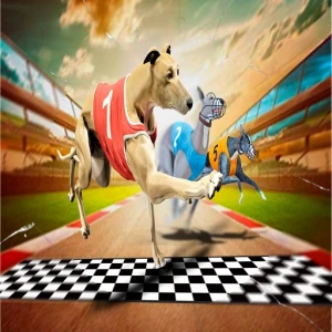 Crazy Dog Racing Game 2020 - Play Free Best Racing & Driving Online Game on JangoGames.com