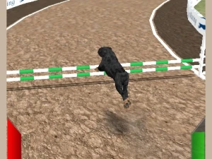 Crazy Real Dog Race - Play Free Best Racing Online Game on JangoGames.com