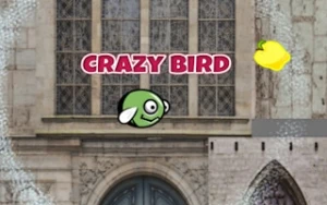 CrazyBirdCity - Play Free Best arcade Online Game on JangoGames.com