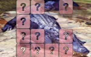 Crocodile Memory Match - Play Free Best puzzle Online Game on JangoGames.com