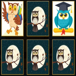 Cute Owl Memory - Play Free Best Puzzle Online Game on JangoGames.com