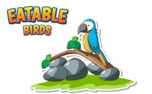 Eatable Birds - Play Free Best animal Online Game on JangoGames.com