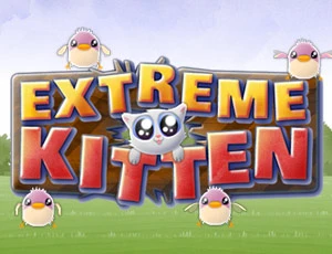 Extreme Kitten - Play Free Best Casual Online Game on JangoGames.com