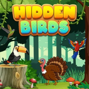 Hidden Birds - Play Free Best  Online Game on JangoGames.com