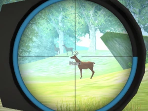 Hunter - Play Free Best Shooting Online Game on JangoGames.com